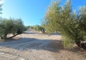 Terreny no urbanitzable en venda a la Monte Lope-Álvarez, Martos, ref.: TR340550 foto