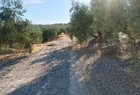 Martos 10453&nbsp;м²