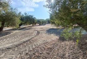 Martos 10453&nbsp;м²