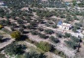 Casa solar amb terreny en venda a la Paraje Montailón, Vélez-Rubio, ref.: TR340757 foto