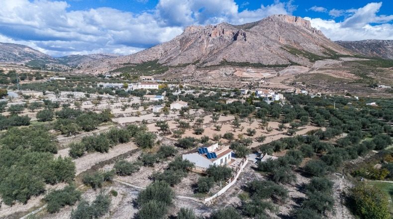 Almería - Vélez-Rubio - 2000m2