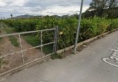 Parcel·la urbanitzable en venda a la Carril de la Ermita, Múrcia, ref.: TR341077 foto