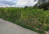 Parcel·la urbanitzable en venda a la Carril de la Ermita, Múrcia, ref.: TR341077 foto
