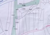 Non-developable land for sale on Paraje Las Vaquillas y Paraje Pan y Uvas, Ciruelas, ref: TR341806 photo