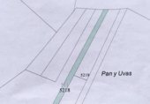 Non-developable land for sale on Paraje Las Vaquillas y Paraje Pan y Uvas, Ciruelas, ref: TR341806 photo