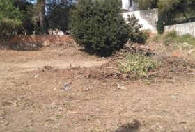 Foto 8