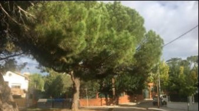 Barcelona - Cerdanyola del Vallès - 769m2