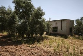 Foto 10