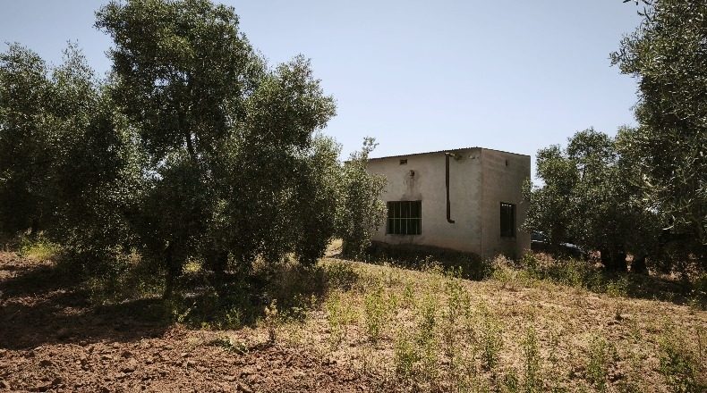 Málaga - Alameda - 64843m2