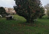 Городская земля под застройку на продажу у города Виго Фото