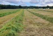 Non-developable land for rent on Lugar Cacabelos, Monterroso, ref: TR343057 photo