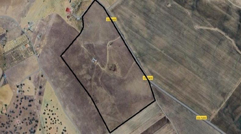 Cordova - Fuente Obejuna - 175000m2