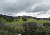 Terreno en venta en la N-430a, Garbayuela, ref: TR343487 foto