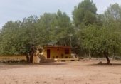 Casa de camp amb terreny en venda a la Camí de Suera a Fanzara, Tales, ref.: TR343485 foto