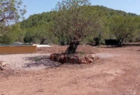 Foto 9