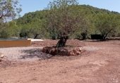Casa de camp amb terreny en venda a la Camí de Suera a Fanzara, Tales, ref.: TR343485 foto