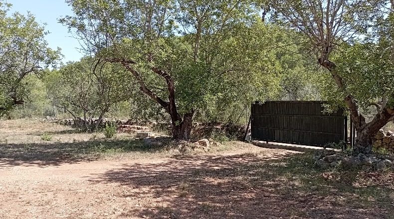 Кастельон - Tales - 7000m2