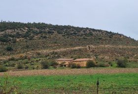 Foto 8