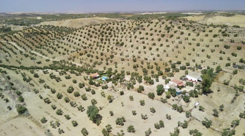 Севилья - Morón de la Frontera - 250000m2