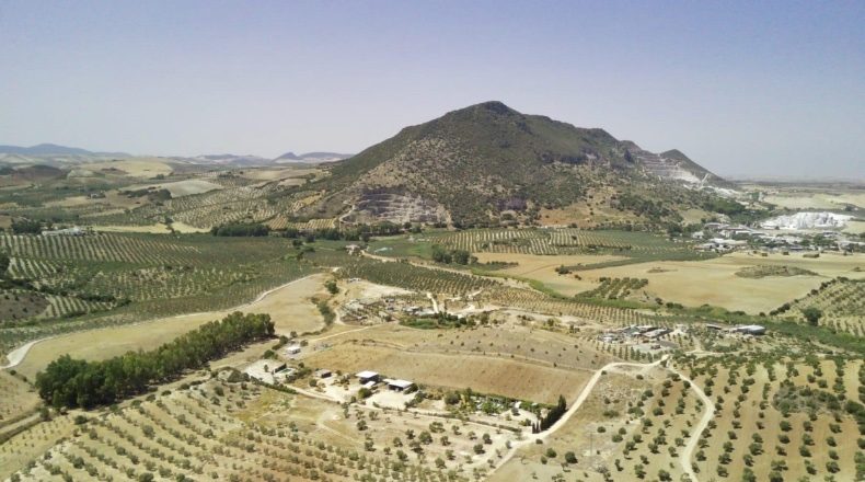 Севилья - Morón de la Frontera - 250000m2