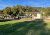 House with land for sale on N-121, Pueyo, ref: TR256256 photo