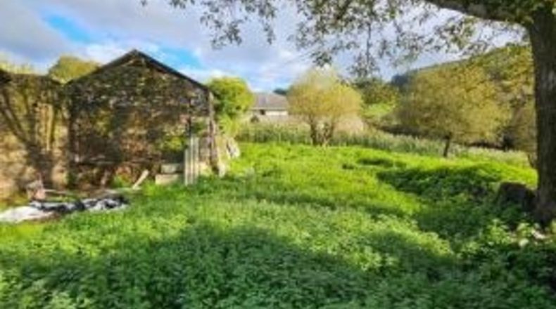 Asturias - Pola de Somiedo - 1750m2