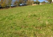 Sòl urbà en venda a la Sorribas, Grado, ref.: TR344573 foto