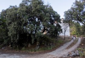 Foto 18