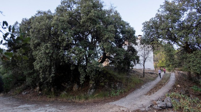 Salamanca - Santo Tomé de Rozados - 3100m2