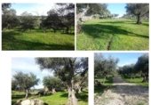 Terreno con Almacén en venta en la 39.82913830123671, Belvís de Monroy, ref: TR345024 foto