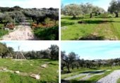 Terreno con Almacén en venta en la 39.82913830123671, Belvís de Monroy, ref: TR345024 foto