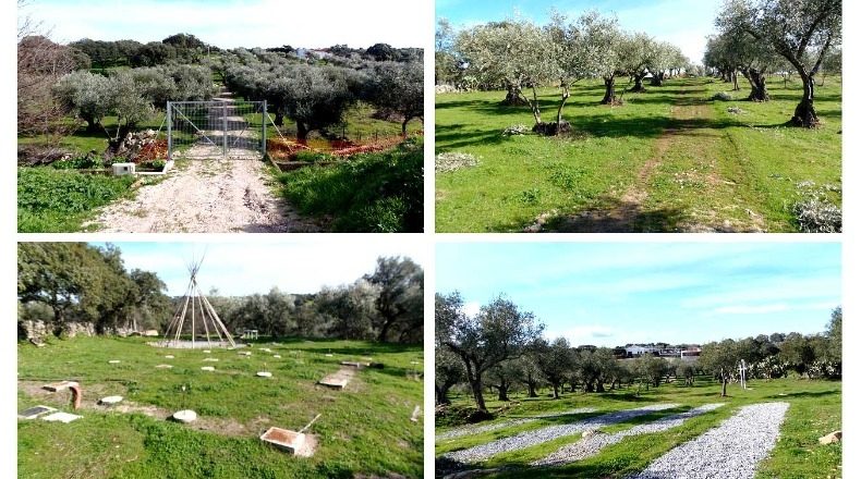 Cáceres - Belvís de Monroy - 5201m2