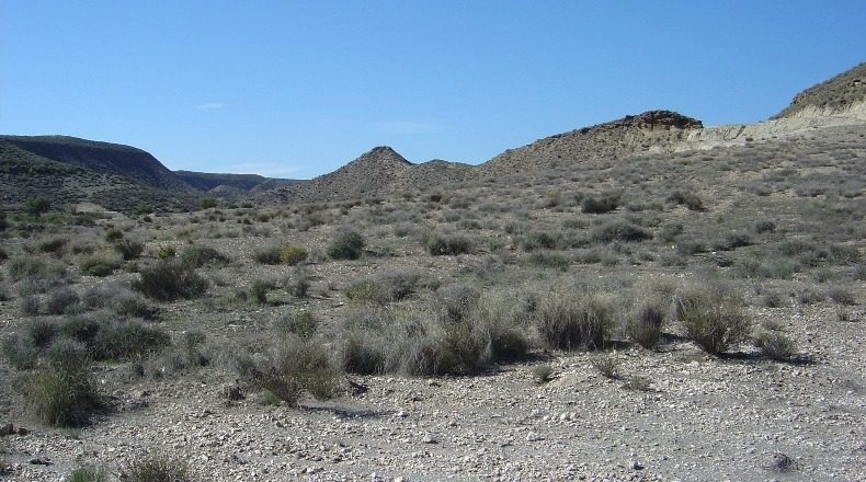 Huesca - Tabernas de Isuela - 117461m2