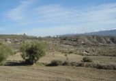 Non-developable land for sale on Paraje el Bujo, Tabernas de Isuela, ref: TR345073 photo