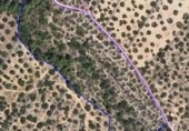 Terreny amb ruïnes en venda a la Camí de la Punta Alta, Xerta, ref.: TR345440 foto