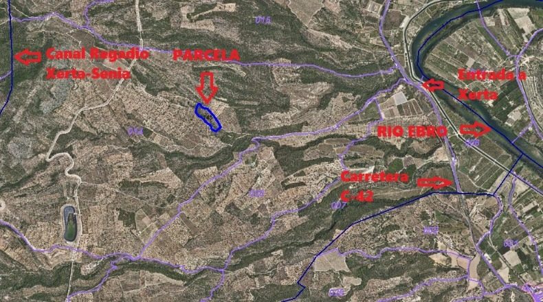 Tarragona - Xerta - 20000m2