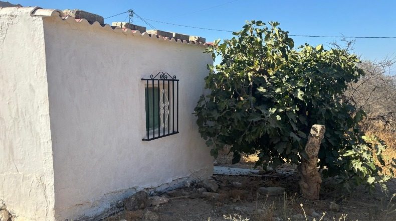 Málaga - Almogía - 30000m2