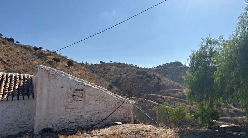 Málaga - Almogía - 30000m2