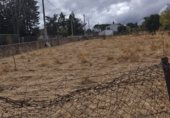 Sòl urbà en venda a la Calle Peña la Legua, Manjirón, ref.: TR337466 foto