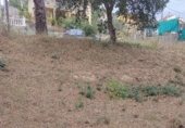 Parcel·la urbanitzable en venda a la Juan ramon Jiménez, Tordera, ref.: TR346047 foto