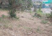 Parcel·la urbanitzable en venda a la Juan ramon Jiménez, Tordera, ref.: TR346047 foto