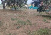 Parcel·la urbanitzable en venda a la Juan ramon Jiménez, Tordera, ref.: TR346047 foto