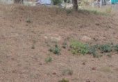 Parcel·la urbanitzable en venda a la Juan ramon Jiménez, Tordera, ref.: TR346047 foto