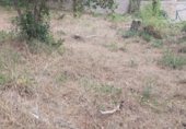 Parcel·la urbanitzable en venda a la Juan ramon Jiménez, Tordera, ref.: TR346047 foto