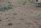 Parcel·la urbanitzable en venda a la Juan ramon Jiménez, Tordera, ref.: TR346047 foto