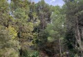 Parcel·la urbanitzable en venda a la Carrer del Bosc, Seguer, ref.: TR346083 foto