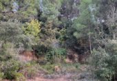 Parcel·la urbanitzable en venda a la Carrer del Bosc, Seguer, ref.: TR346083 foto