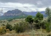 Land for sale on T-334, Horta de Sant Joan, ref: TR346111 photo