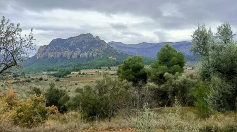 Tarragona - Horta de Sant Joan - 10000m2