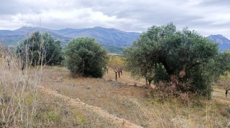 Tarragona - Horta de Sant Joan - 10000m2